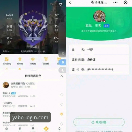 亚博官网 实战派老玩家分享yabo888vip官网使用心得,亚博体育APP投注效率翻倍